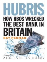 Perman   hubris; how HBOS wrecked the best bank in britain (2012) 