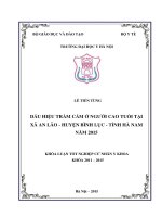 Dấu hiệu trầm cảm ở người cao tuổi tại xã an lão  huyện bình lục  tỉnh hà nam năm 2015 