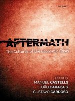 Castells et al (eds )   aftermath; the cultures of the economic crisis (2012) 