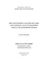 PHÂN TÍCH TÌNH HÌNH VÀ GIẢI PHÁP PHÁT TRIỂN CHĂN NUÔI BÒ SỮA TẠI XÃ TÂN THẠNH ĐÔNG HUYỆN CỦ CHI, THÀNH PHỐ HỒ CHÍ MINH