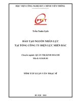 Đào tạo nguồn nhân lực tại tổng công ty Điện lực miền Bắc (tt)