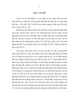 Nghiên cứu đặc điểm hình ảnh và giá trị chụp cắt lớp vi tính đa dãy trong chẩn đoán xốp xơ tai