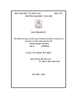 Nghiên cứu đặc điểm hình ảnh tổn thương động mạch vành bằng phương pháp chụp động mạch vành chọn lọc qua da ở người cao tuổi mắc đái tháo đường týp 2 