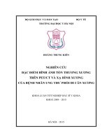 Nghiên cứu đặc điểm hình ảnh tổn thương xương trên PET CT và xạ hình xương của bệnh nhân ung thư phổi di căn xương 