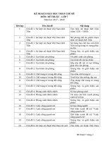 giáo án mĩ thuật 7 đan mạch học kì 1 