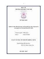 Nghiên cứu đặc điểm lâm sàng và kết quả điều trị viêm võng mạc do cytomegalovirus trên bệnh nhân HIV AIDS 