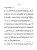 Một số biện pháp hạn chế rủi ro tín dụng đối với hộ nghèo tại ngân hàng chính sách xã hội quận tân phú 