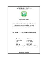 Nghiên cứu các yếu tố tác động đến bảo tồn đa dạng sinh học tại Khu bảo tồn loài và sinh cảnh Nam Xuân Lạc  Chợ Đồn  Bắc Kạn (Khóa luận tốt nghiệp)