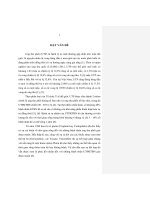 Đánh giá kết quả điều trị ung thư phổi không tế bào nhỏ giai đoạn IV bằng phác đồ gemcitabine và cisplatin 