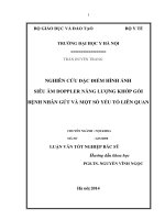 Nghiên cứu đặc điểm hình ảnh siêu âm doppler năng lượng khớp gối bệnh nhân gut và một số yếu tố liên quan 