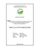 Đánh giá công tác giải phóng mặt bằng Dự án Hệ thống thoát nước và xử lý nước thải thành phố Lạng Sơn  tỉnh Lạng Sơn (Khóa luận tốt nghiệp)
