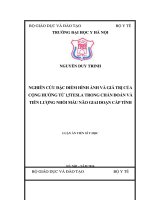 Nghiên cứu đặc điểm hình ảnh và giá trị cộng hưởng từ 1,5tesla trong chẩn đoán và tiên lượng nhồi máu não giai đoạn cấp tính 