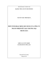 PHÂN TÍCH HOẠT ĐỘNG BÁN HÀNG CỦA CÔNG TY TRÁCH NHIỆM HỮU HẠN THƯƠNG MẠI PHƯỚC HUY