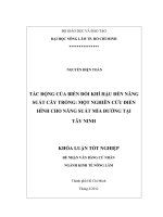 TÁC ĐỘNG CỦA BIẾN ĐỔI KHÍ HẬU ĐẾN NĂNG SUẤT CÂY TRỒNG: MỘT NGHIÊN CỨU ĐIỂN HÌNH CHO NĂNG SUẤT MÍA ĐƯỜNG TẠI TÂY NINH