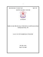 Nghiên cứu đặc điểm lâm sàng và hình ảnh học của nhồi máu não thuộc hệ động mạch sống   nền