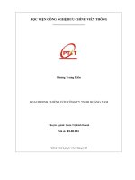 Hoạch định chiến lược công ty TNHH Hoàng Nam (tt)