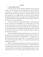 Nâng cao chất lượng bê tông công trình thủy lợi sử dụng ván khuôn kiểm soát thấm 