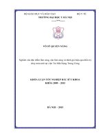 Nghiên cứu đặc điểm lâm sàng, cận lâm sàng và đánh giá hiệu quả điêu trị chảy máu mũi tại BV tai mũi họng tư