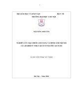 Nghiên cứu đặc điểm lâm sàng và hình ảnh nội soi của barrett thực quản ở người cao tuổi 