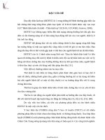 de tai ket qua cua xoa bop bam huyet trong dieu tri dau day than kinh toa the phong han