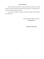 Hoàn thiện công tác xử phạt vi phạm hành chính trong lĩnh vực hải quan tại cục hải quan TP hải phòng 