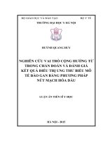 Nghiên cứu vai trò cộng hưởng từ trong chẩn đoán và đánh giá kết quả điều trị ung thư biểu mô tế bào gan bằng phương pháp nút mạch hóa dầu 