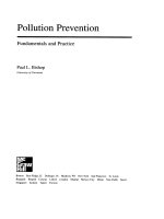 pollution prevention fundamentals and practice 