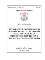 Đánh giá tình trạng sẹo bọng của phẫu thuật cắt bè có ghép màng ối và cắt bè mitamycin c điều trị tăng nhãn áp tái phát sau mổ lỗ rò