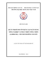 Thực trạng và giải pháp hoàn thiện quản trị rủi ro tín dụng tại ngân hàng nông nghiệp và phát triển nông thôn (agribank)   chi nhánh đông sài gòn 