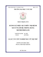 Đánh giá hiệu quả điều trị bệnh xơ cứng bì hệ thống bằng methotrexate 
