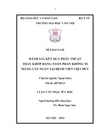Đánh giá kết quả phẫu thuật thay khớp háng toàn phần không xi măng cán ngắn tại BV việt đức 