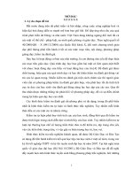 “Góp phần xây dựng và sử dụng bộ câu hỏi trắc nghiệm, bài tập và ô chữ (dạng đơn giản) để đánh giá kết quả học tập môn sinh học của học sinh lớp 11.doc