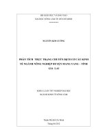 PHÂN TÍCH THỰC TRẠNG CHUYỂN DỊCH CƠ CẤU KINH TẾ NGÀNH NÔNG NGHIỆP HUYỆN MANG YANG – TỈNH GIA LAI