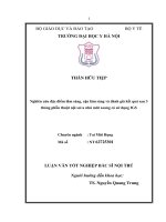 Nghiên cứu đặc điểm lâm sàng, cận lâm sàng và đánh giá kết quả sau 3 tháng phẫu thuật nội soi u nhú mũi xoang có sử dụng igs 