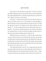 Nghiên cứu đặc điểm lâm sàng, cận lâm sàng và các yếu tố liên quan đến viêm âm đạo do nấm candida ở những bệnh nhân đến khám phụ khoa tại BV phụ sản TW