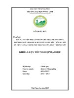 Đẩy mạnh tiêu thụ sản phẩm chè theo phương thức hợp đồng doanh nghiệp với người dân trên địa bàn xã Tân Cương  thành phố Thái Nguyên  Tỉnh Thái Nguyên (Khóa luận tốt nghiệp)