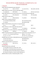 So GD  DT can tho  lan 1  file word co loi giai chi tiet 