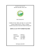 Nghiên cứu đặc điểm lâm học của loài Pơ mu (Fokienia hodginsii (Dunn) A. Henry et Thomas) tại rừng đặc dụng Cham chu tỉnh Tuyên Quang (Khóa luận tốt nghiệp)