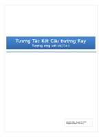 Phân tích kết cấu dầm cầu với ray đường sắt  Hiếm