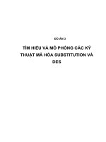 TÌM HIỂU và mô PHỎNG các kỹ THUẬT mã hóa SUBSTITUTION và DES (có code bên dưới)