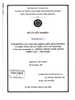 ẢNH HƯỞNG CỦA MẬT ĐỘ TRỒNG ĐẾN SINH TRƯỞNG VÀ KHẢ NĂNG XỬ LÝ NƯỚC CỦA CỎ VETIVER TRỒNG TRONG NƯỚC KÊNH NHIÊU LỘC THỊ NGHÈ