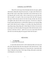 phân tích vai trò của cơ quan hành chính nhànước đối với việc đảm bảo pháp chế trong quản lí hành chính nhà nước