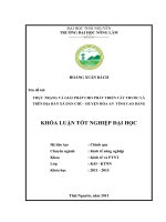Thực trạng và giải pháp cho phát triển cây thuốc lá trên địa bàn xã Dân Chủ  huyện Hòa An  tỉnh Cao Bằng (Khóa luận tốt nghiệp)