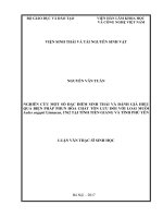 Nghiên cứu một số đặc điểm sinh thái và đánh giá hiệu quả biện pháp phun hóa (Luận văn thạc sĩ)
