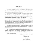 Nghiên cứu các tác động của chất thải có dầu đến môi trường biển và đề xuất một số biện pháp xử lí để bảo vệ môi trường tại khu vực cảng hải phòng 