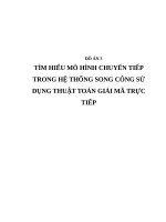 TÌM HIỂU mô HÌNH CHUYỂN TIẾP TRONG hệ THỐNG SONG CÔNG sử DỤNG THUẬT TOÁN GIẢI mã TRỰC TIẾP