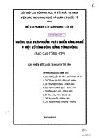 NHỮNG GIẢI PHÁP NHẰM PHÁT TRIỂN LÀNG NGHỀ Ở MỘT SỐ TỈNH ĐỒNG BẰNG SÔNG HỒNG