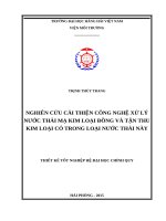 NGHIÊN cứu cải THIỆN CÔNG NGHỆ xử lý nước THẢI mạ KIM LOẠI ĐỒNG và tận THU KIM LOẠI có TRONG LOẠI nước THẢI này 