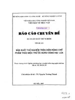 SẢN XUẤT THỬ NGHIỆM TRÊN DIỆN RỘNG CHẾ PHẨM THẢO MỘC TRỪ ỐC BƯƠU VÀNG HẠI LÚA