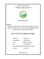 Đánh giá thực trạng và đề xuất các giải pháp nâng cao hiệu quả sử dụng đất sản xuất nông nghiệp trên địa bàn huyện Trà Lĩnh  tỉnh Cao Bằng (Khóa luận tốt nghiệp)